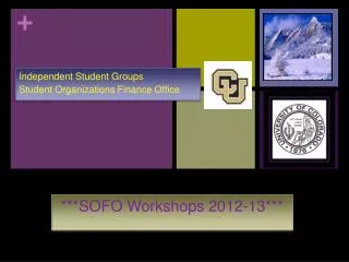 ***SOFO Workshops 2012-13***