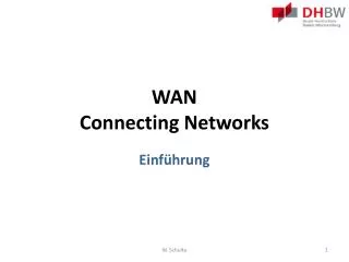 WAN Connecting Networks