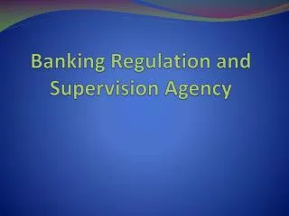 Banking Regulation and Supervision Agency