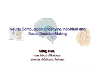 Neural Computation Underlying Individual and Social Decision-Making