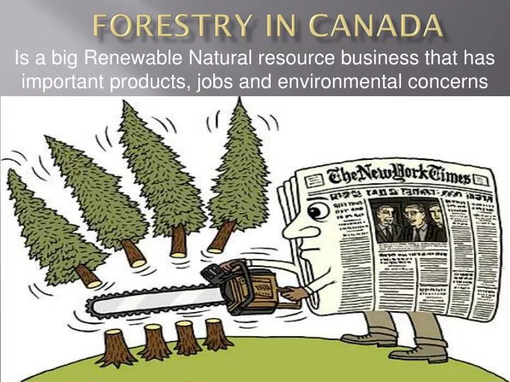 forestry in canada