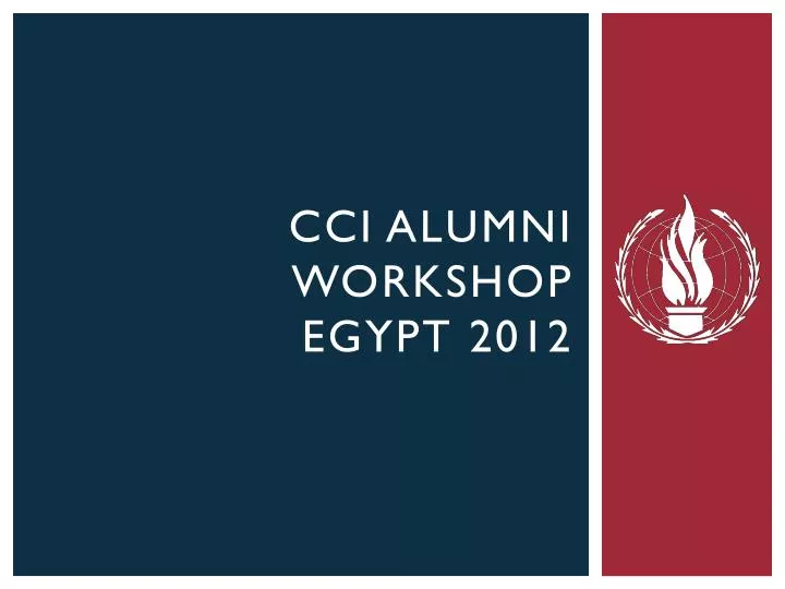cci alumni workshop egypt 2012