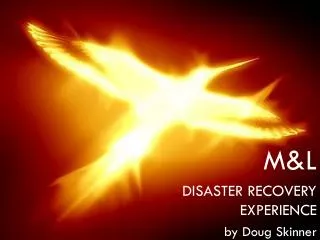 M&amp;L DISASTER RECOVERY EXPERIENCE by Doug Skinner
