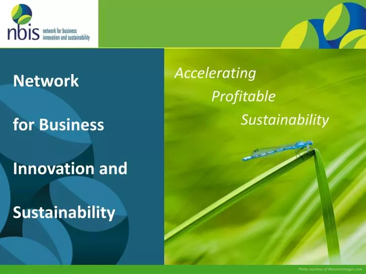 network for business innovation and sustainability