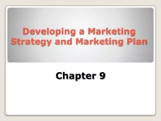 Developing a Marketing Strategy and Marketing Plan