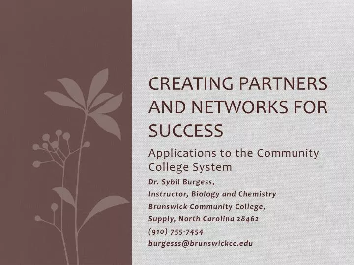 creating partners and networks for success