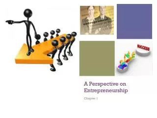 A Perspective on Entrepreneurship