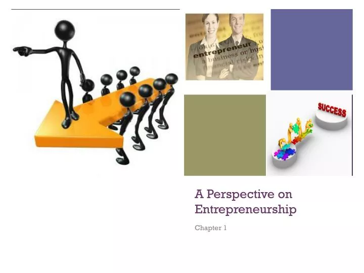 a perspective on entrepreneurship
