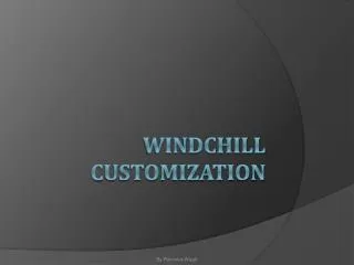 Windchill Customization