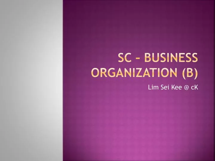 sc business organization b