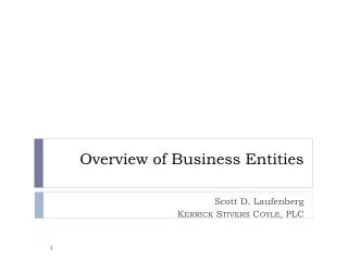 Overview of Business Entities