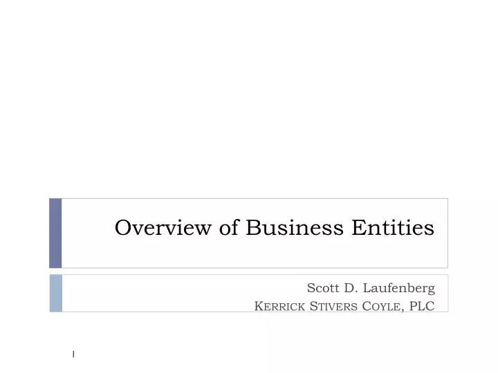 overview of business entities