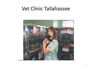 Vet Clinic Tallahassee