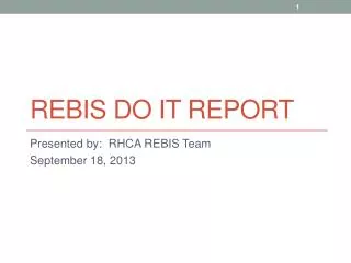 REBIS DO IT report