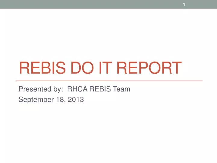 rebis do it report