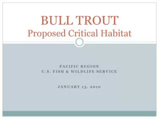 BULL TROUT Proposed Critical Habitat