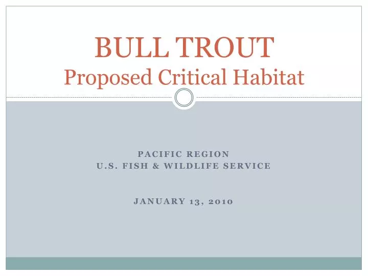 bull trout proposed critical habitat