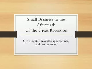 Small Business in the Aftermath of the Great Recession
