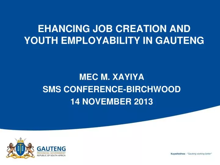 ehancing job creation and youth employability in gauteng
