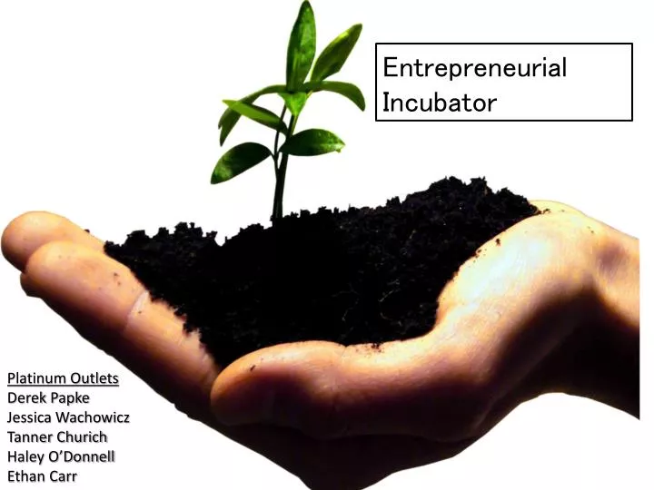 entrepreneurial incubator