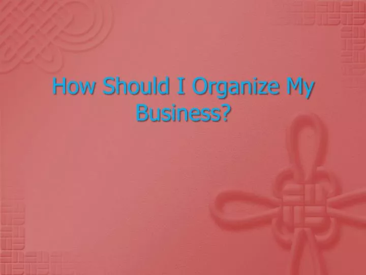 how should i organize my business
