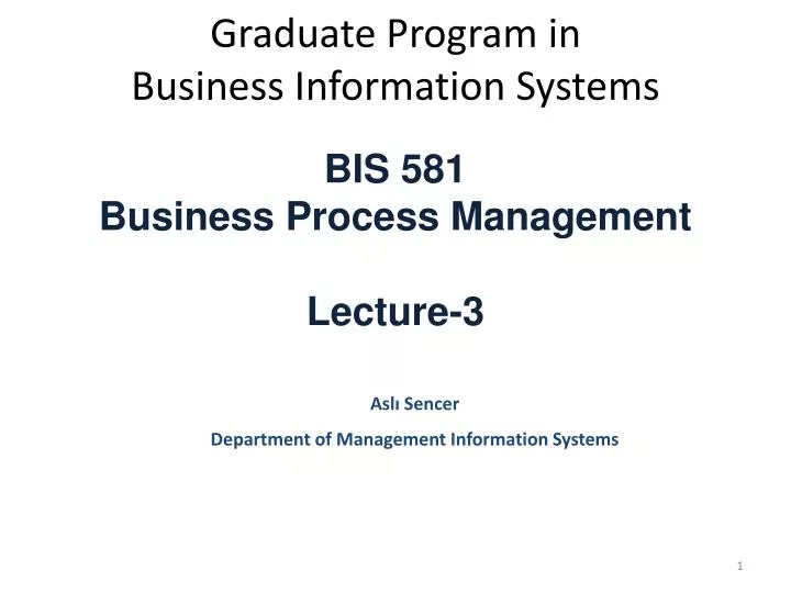 graduate program in business information systems