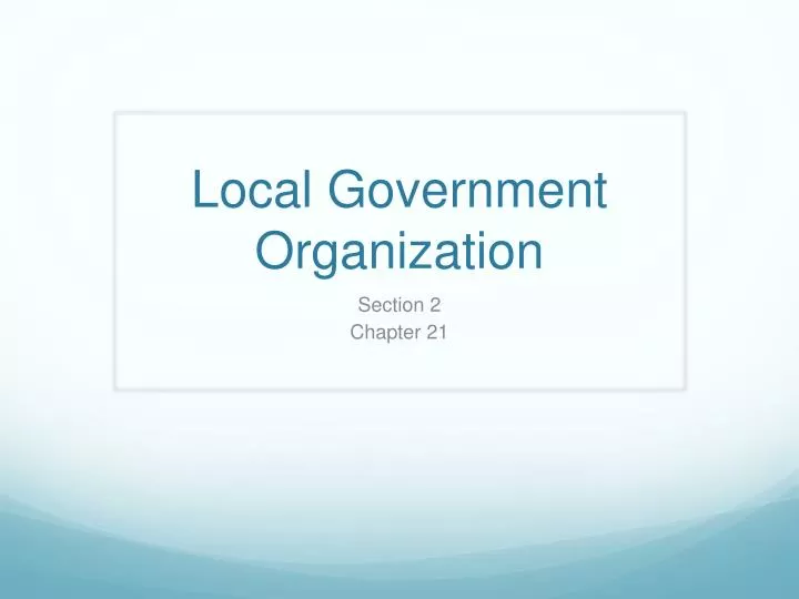 local government organization