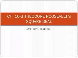 CH. 16-3 THEODORE ROOSEVELT'S SQUARE DEAL