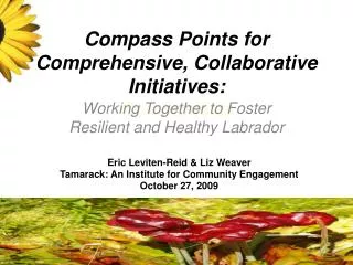 Compass Points for Comprehensive, Collaborative Initiatives: Communities