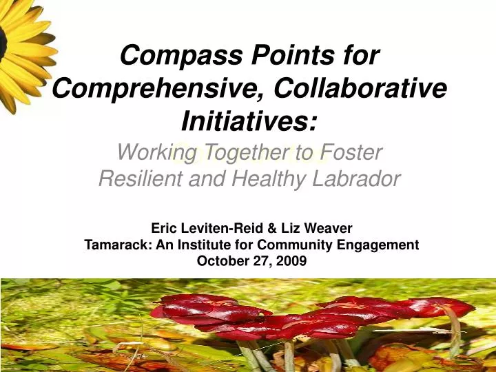 compass points for comprehensive collaborative initiatives communities