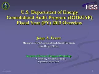 U.S. Department of Energy Consolidated Audit Program (DOECAP) Fiscal Year (FY) 2013 Overview