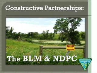 Constructive Partnerships: