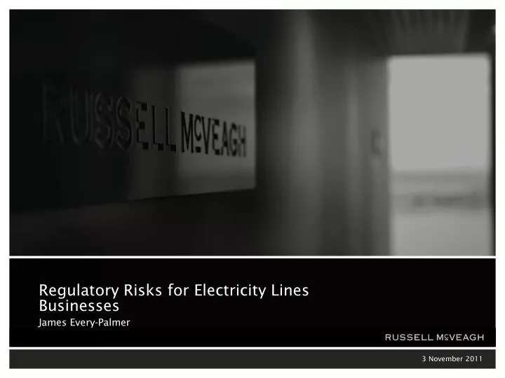 regulatory risks for electricity lines businesses james every palmer