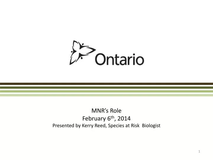 mnr s role february 6 th 2014 presented by kerry reed species at risk biologist