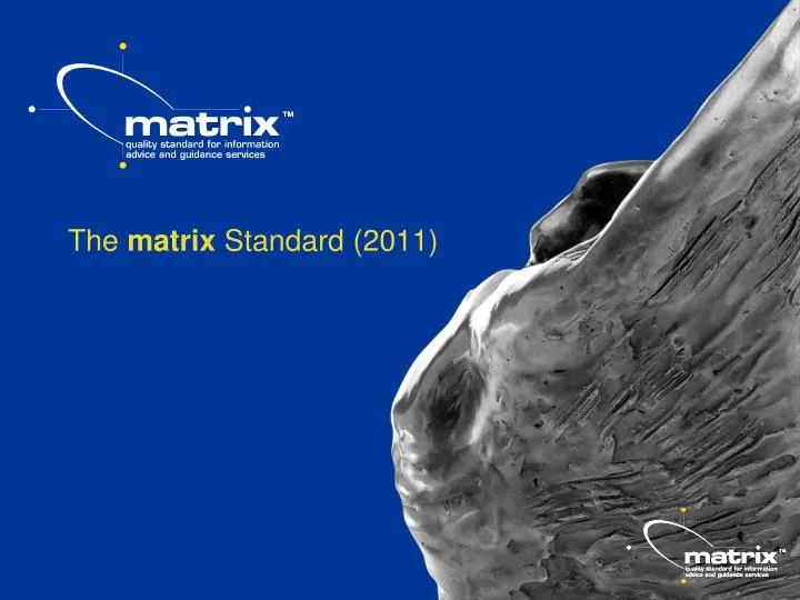 the matrix standard 2011