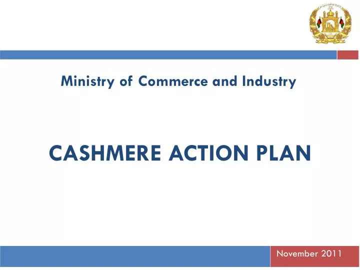 cashmere action plan