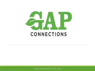 What is GAP Connections?