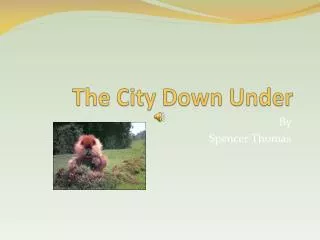 The City Down Under