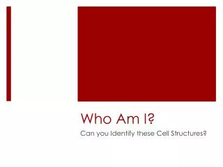 who am i