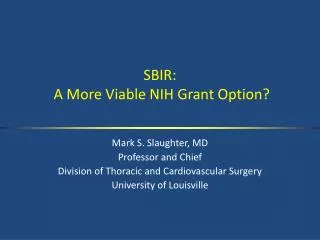 SBIR: A More Viable NIH Grant Option?