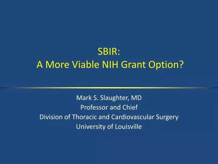 sbir a more viable nih grant option
