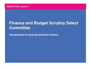 Finance and Budget Scrutiny Select Committee Introduction to local government finance