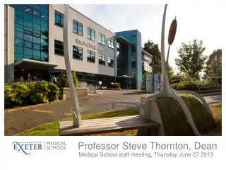 Professor Steve Thornton, Dean