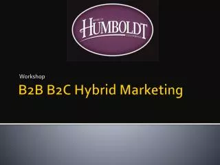 B2B B2C Hybrid Marketing