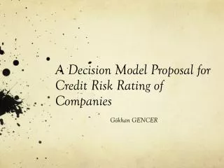 A Decision Model Proposal for Credit Risk Rating of Companies