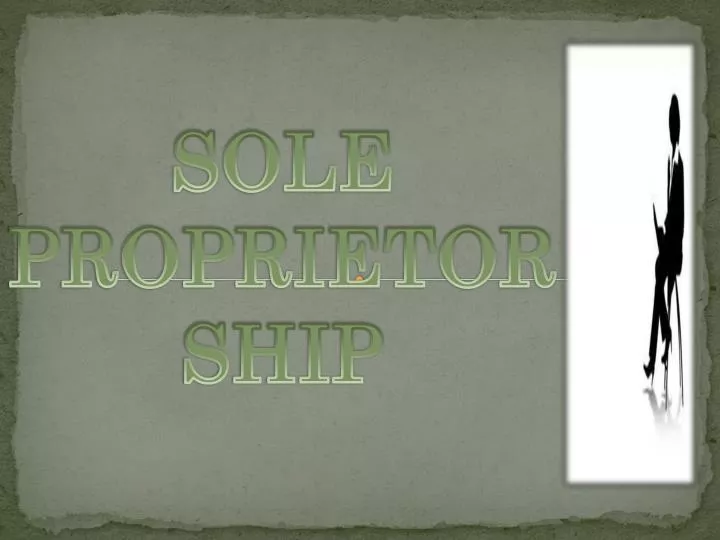 sole proprietorship