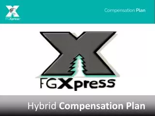 Hybrid Compensation Plan