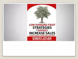 Low Hanging Fruit Strategies to Rapidly Increase Sales with Business Optimizer Coach Stacey Hylen