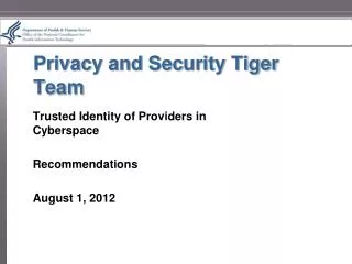 Privacy and Security Tiger Team