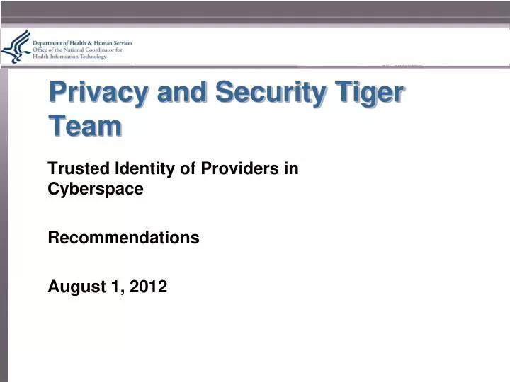 privacy and security tiger team